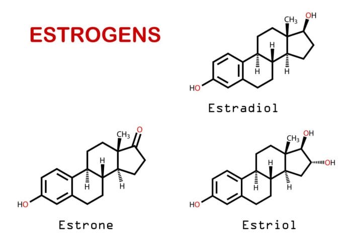 picture of 3 types of estrogen estradiol, estrone and estriol that may contribute to estrogen dominance
