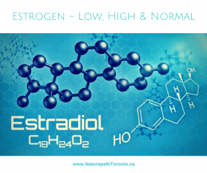 diagram of the chemical structure of estrogen