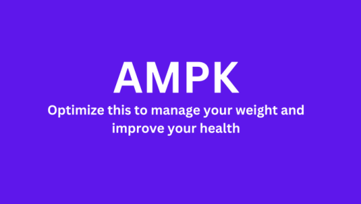 picture that says AMPK optimize this to manage your weight and improve your health