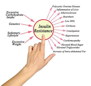 picture showing some of the causes and the consequences of insulin resistance including fatty liver, low HDL, constipation, high blood pressure, belly fat, PCOS