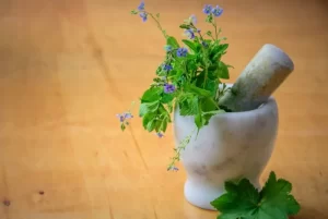 pictures of herbs used by a naturopathic doctor or naturopath to help people cure their health problems with natural treatment