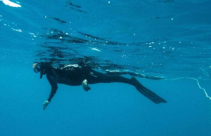 picture of naturopathic doctor pamela frank snorkelling in the Caribbean