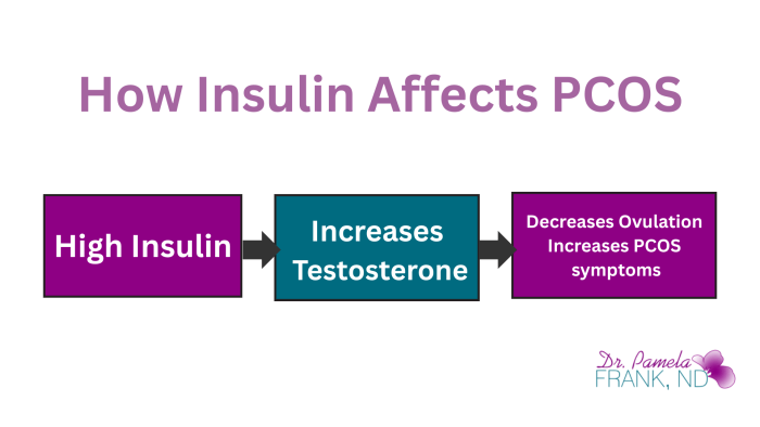 diagram showing how high insulin increases testosterone which decreases ovulation and increases PCOS symptoms when women have insulin resistance